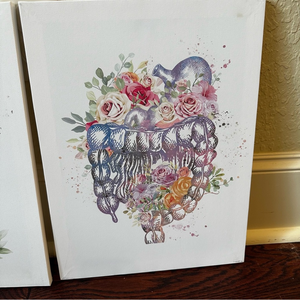 Colorful Floral Anatomy Art Prints Set - Picture 7 of 8